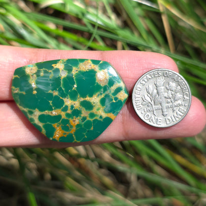 Stabilized Kingman Turquoise Freeform