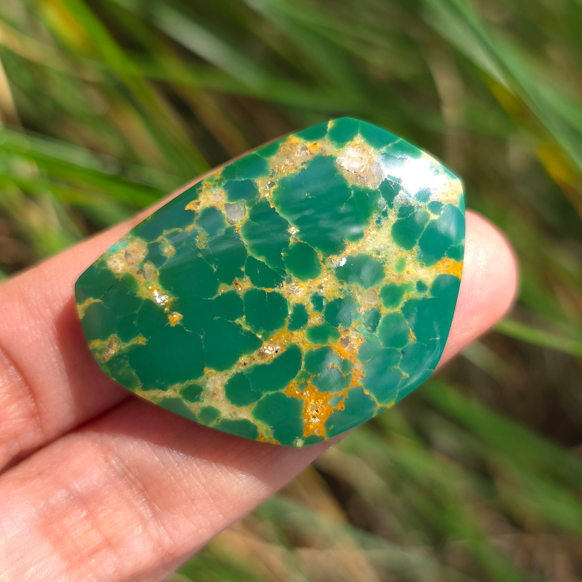 Stabilized Kingman Turquoise Freeform