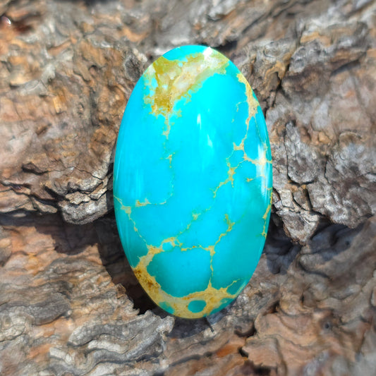 Stabilized Kingman Turquoise Oval
