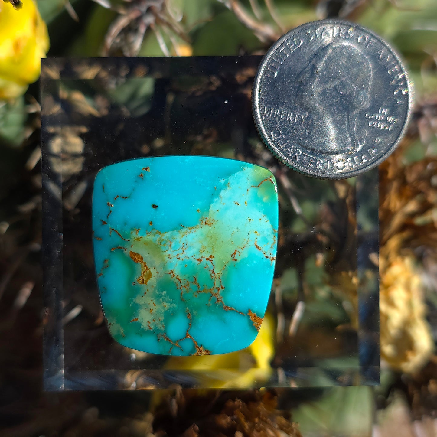 Stabilized Kingman Turquoise Freeform