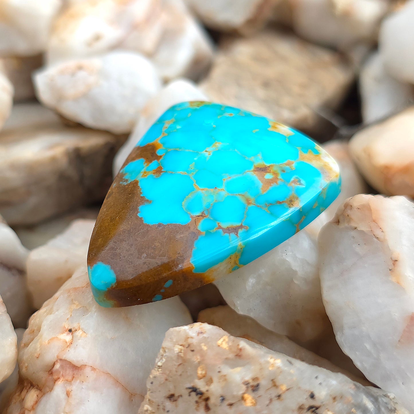 Stabilized Kingman Turquoise Tongue-shaped