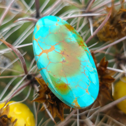 Stabilized Kingman Turquoise Oval