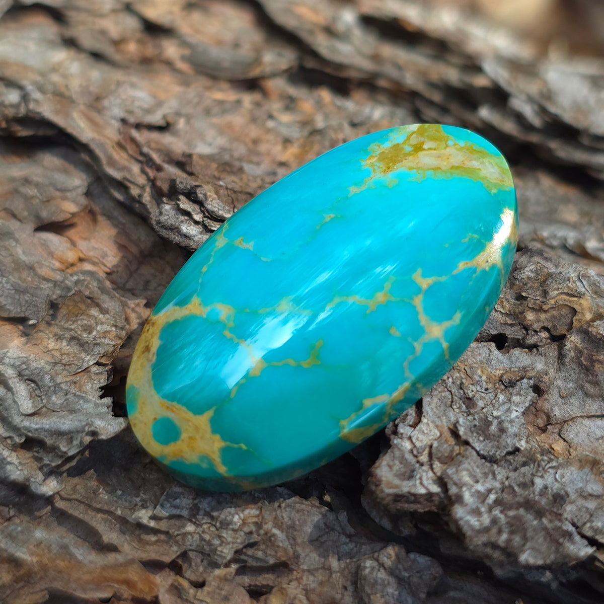Stabilized Kingman Turquoise Oval