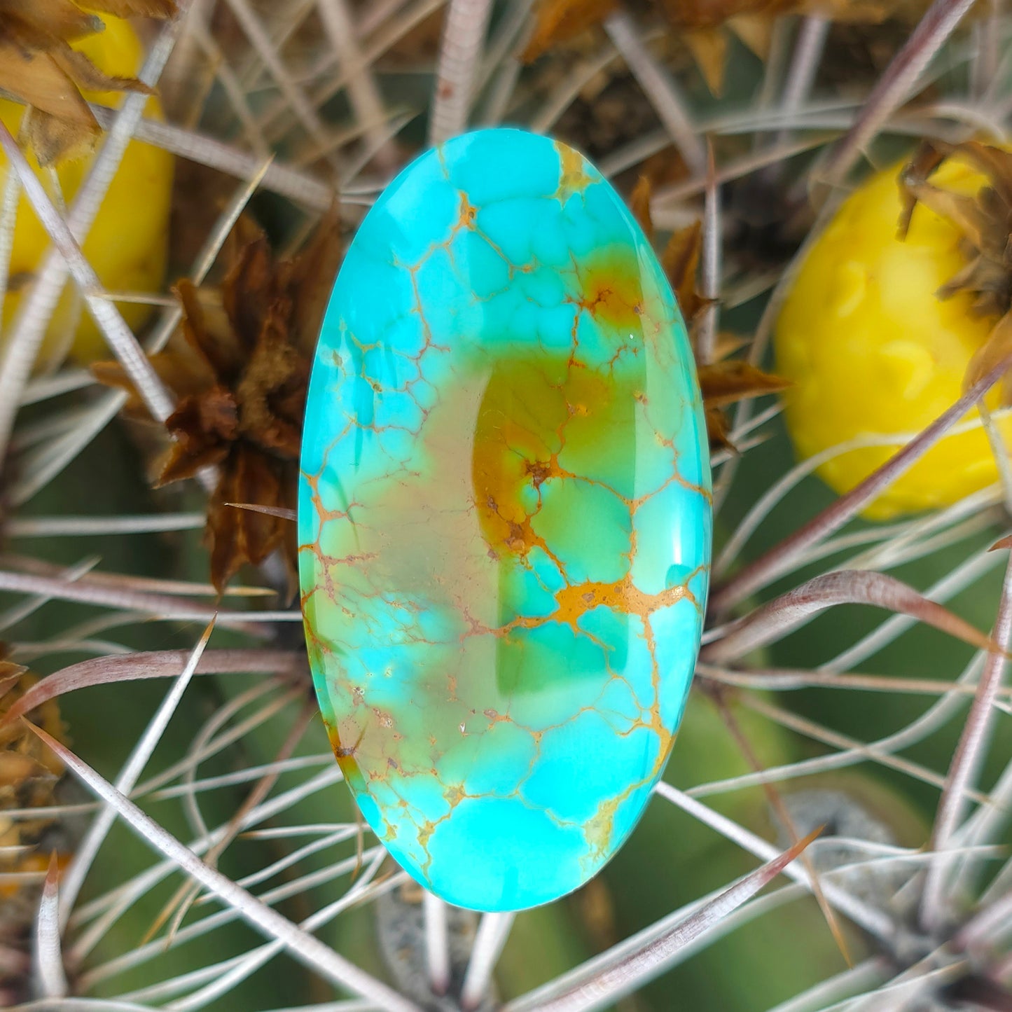 Stabilized Kingman Turquoise Oval