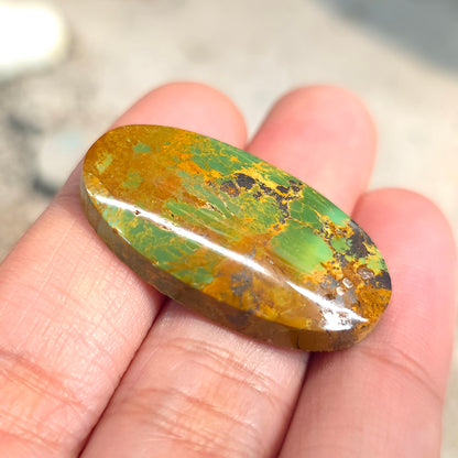 Stabilized Kingman Turquoise Oval