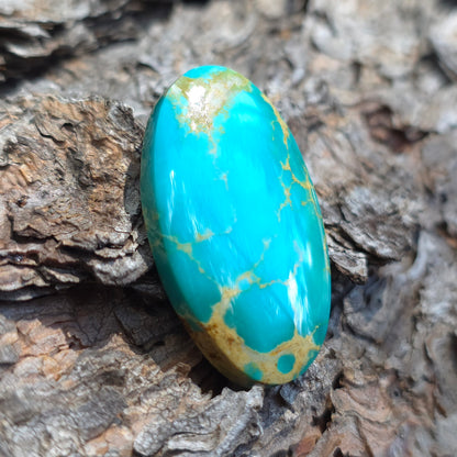 Stabilized Kingman Turquoise Oval