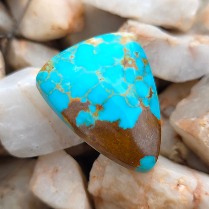 Stabilized Kingman Turquoise Tongue-shaped