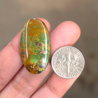 Stabilized Kingman Turquoise Oval